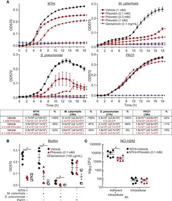 Antimicrobial and Anti-Inflammatory Activity of Apple Polyphenol Phloretin on Respiratory Pathogens Associated With Chronic Obstructive Pulmonary Disease